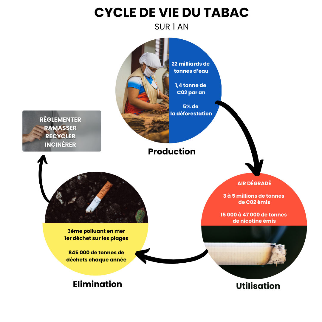 Cycle du Tabac ©MariePignolet