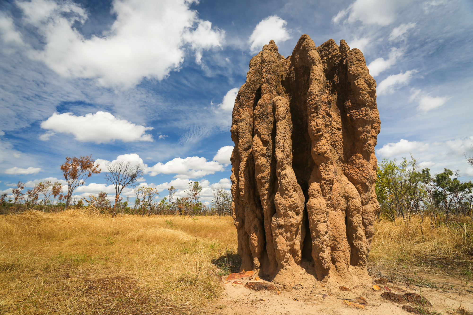 termitiere-parc-national-australie